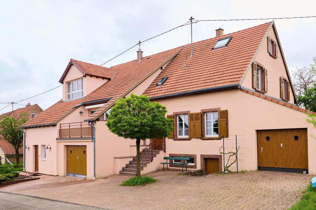 Appartement Le Pommier - Appt Avec Jardin Partage à Puberg Extérieur photo